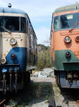 20180408e.JPG