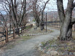 20180422f.JPG