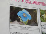 20180516f.JPG