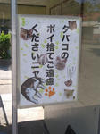 20180524f.JPG