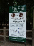 20180614d.JPG