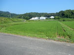 20180807a.JPG