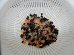 20180902e.JPG