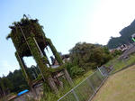 20180905g.JPG