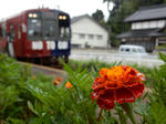 20180915i.JPG