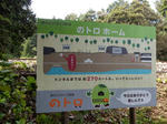 20181009c.JPG