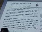 20181013f.JPG