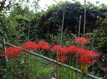20181015e.JPG