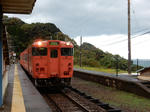20181106c.JPG