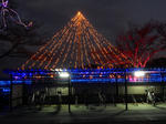 20181226e.JPG