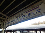 20190210d.JPG