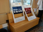 20190217e.JPG