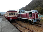 20190303i.JPG