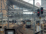 20190306i.JPG