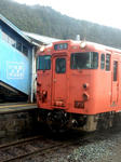 20190326f.JPG