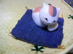 nyanko-tamag1.JPG