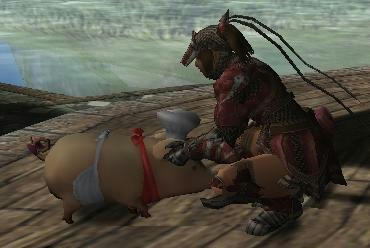 deebbd0d.jpeg
