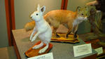 DSC00455.JPG