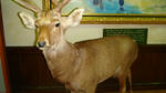 DSC00456.JPG