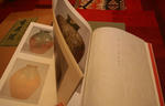 toru_nakanishi_kotanba_2.jpg