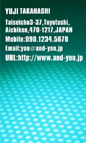 【かっこいい名刺】網の写真が不思議さを出している名刺