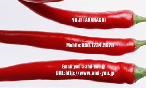 【かっこいい名刺】ピリッと決めたい時の名刺