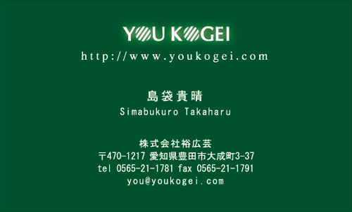 【かっこいい名刺】会社カラーと併せる名刺