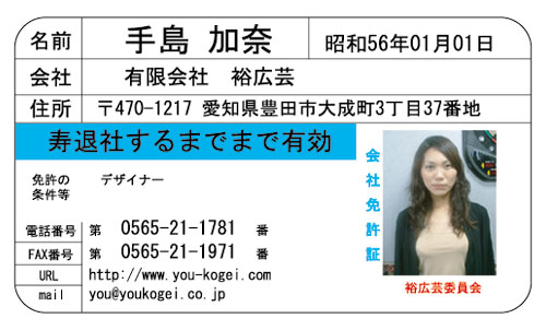 【かっこいい名刺】免許証ぽい騙す名刺