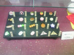 20100329-06.jpg