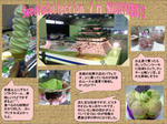 20100403-05.jpg