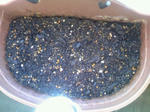 20100529.jpg