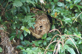 DSC_3224.jpg