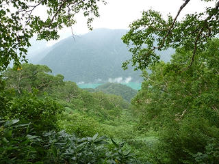 P1010244.jpg