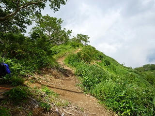 P1010257.jpg
