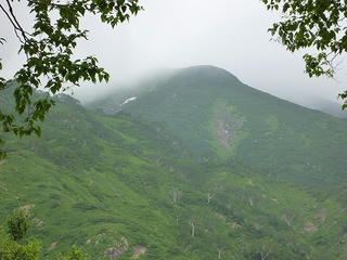 P1010263.jpg