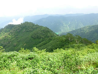 P1010264.jpg