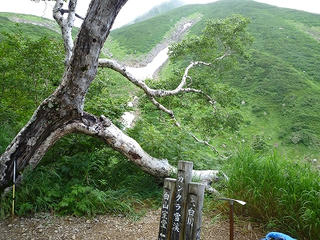P1010267.jpg