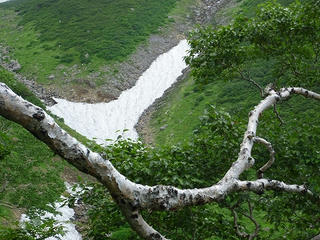 P1010268.jpg