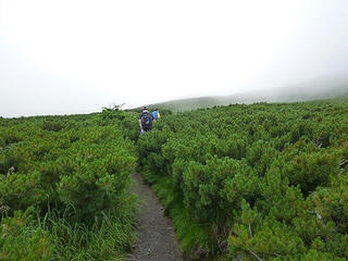 P1010286.jpg