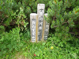 P1010288.jpg