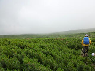 P1010289.jpg