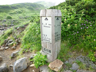 P1010291.jpg