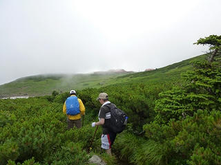 P1010292.jpg