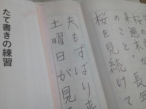 NEC_0002.JPG