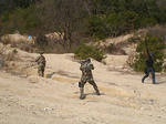 味方軍