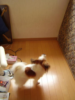 P9170090.JPG