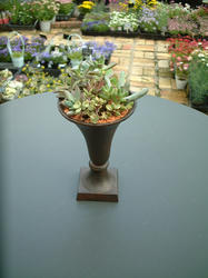 DSCF0006.JPG