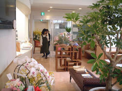 DSCF0007.JPG