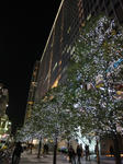 20100109akiba03.jpg