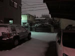 2010_yuki01.jpg